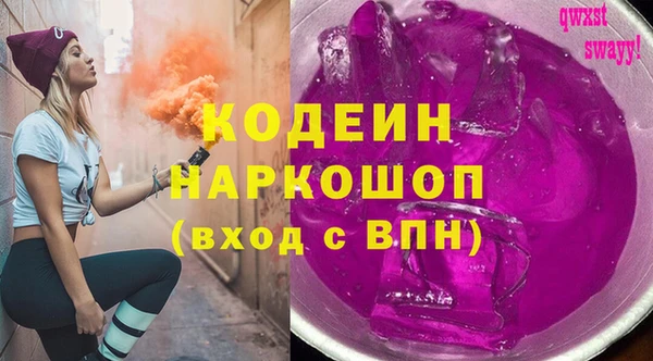 крисы Тында