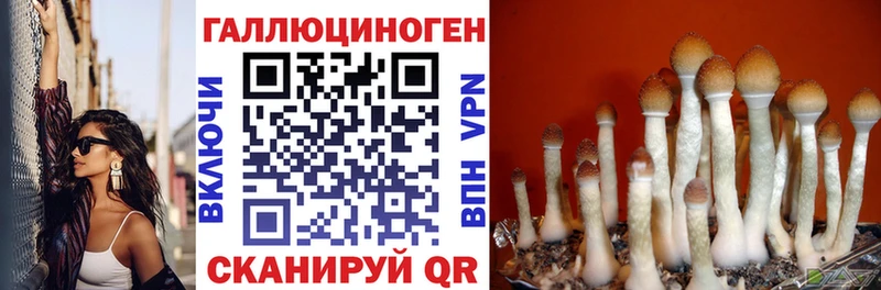 Псилоцибиновые грибы прущие грибы  Котово 